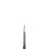 Winsor & Newton Winton olieverfpenseel rond (nummer 4)