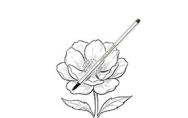Fineliners voor manga & illustratie