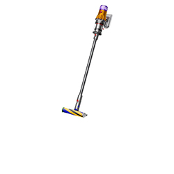 Dyson V12
