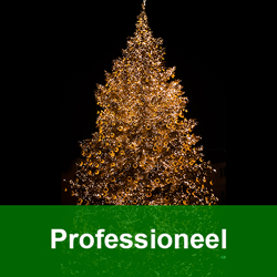 Koppelbare kerstverlichting professioneel