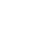 icono de un escudo con una marca de verificación