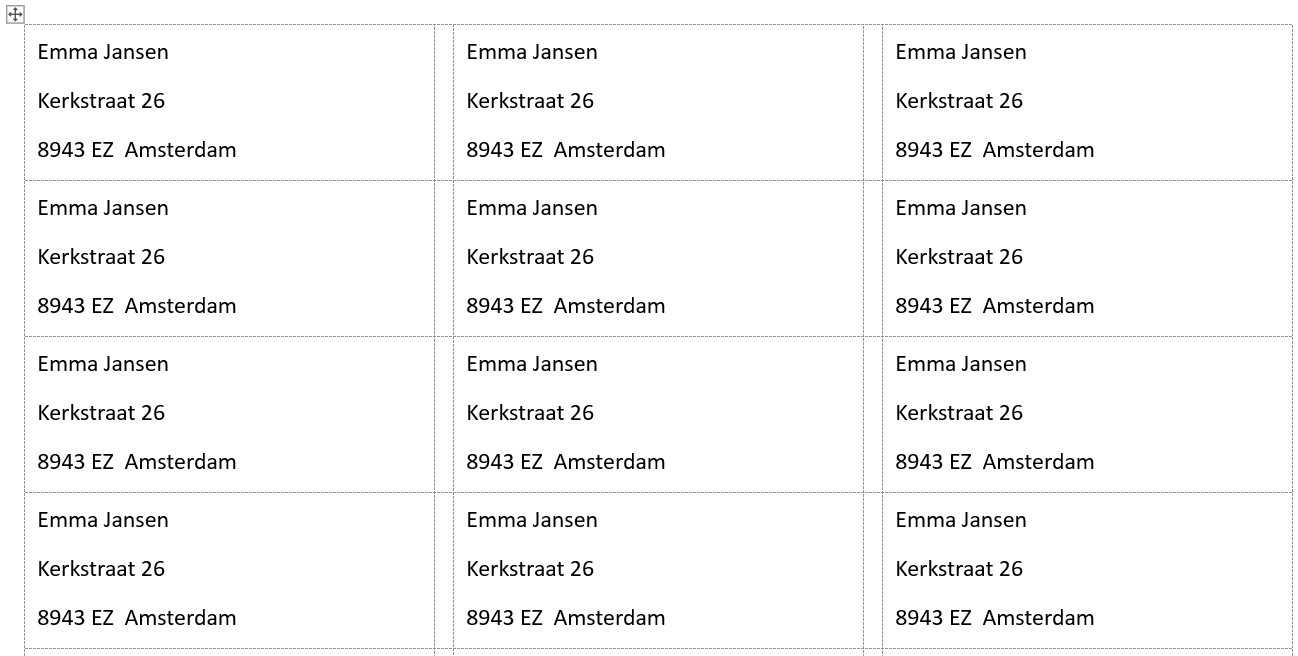 Screenshot van negen etiketten met dezelfde adresgegevens in Word