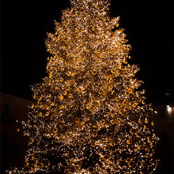 Koppelbaar tot 100 meter kerstverlichting