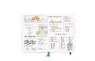 Bulletjournals